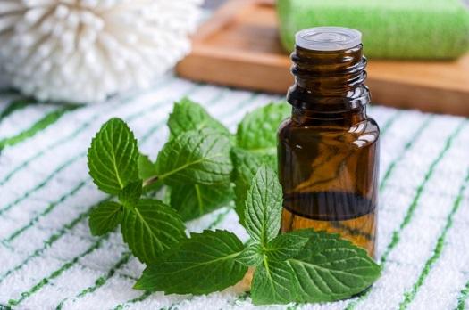 Vaping and asthma: The powerful punch of peppermint